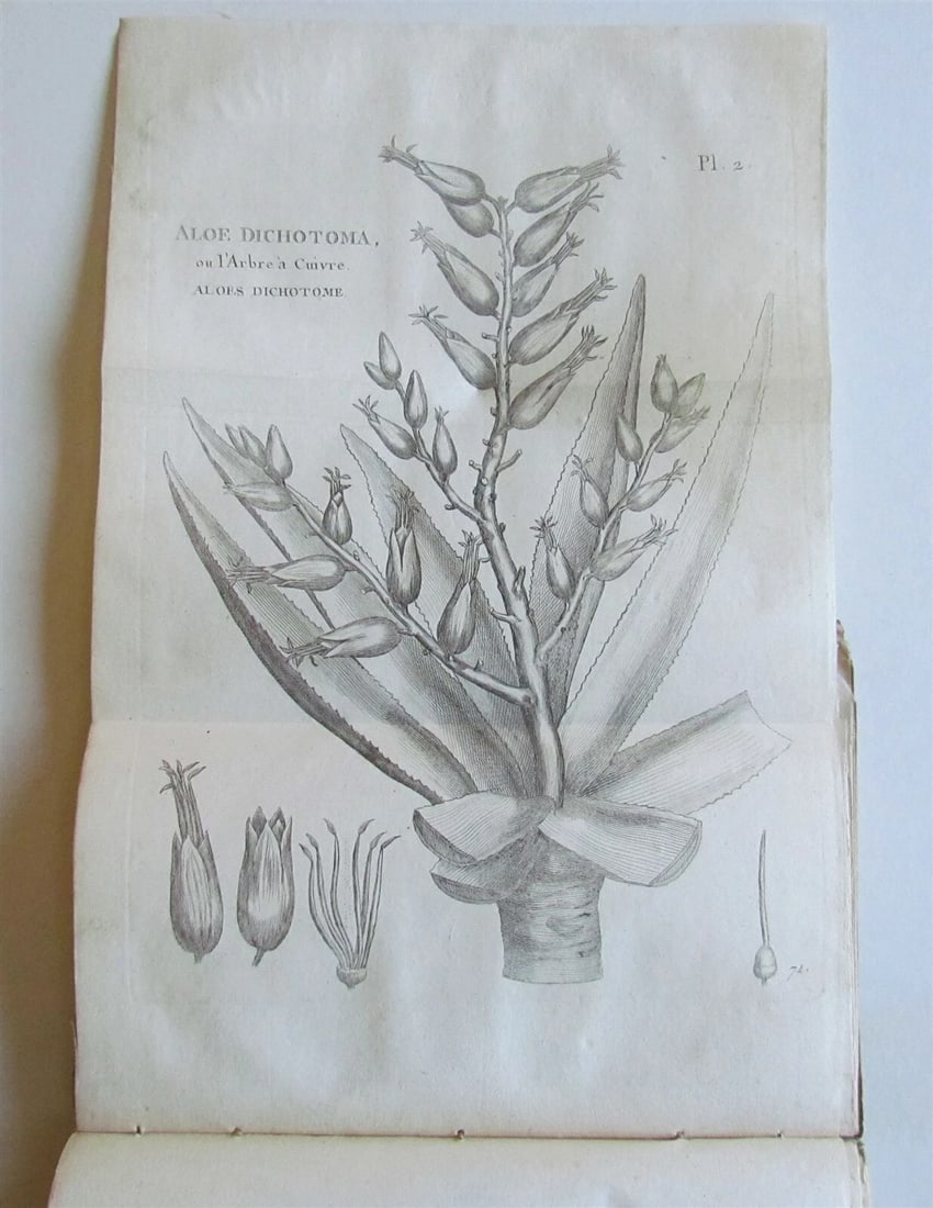 1790 AFRICA TRAVELS Voyages dans le pays des Hottentots ILLUSTRATED antique RARE - 7