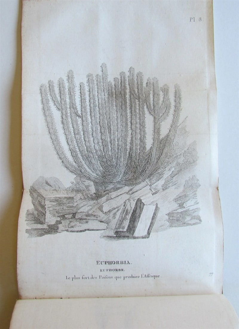 1790 AFRICA TRAVELS Voyages dans le pays des Hottentots ILLUSTRATED antique RARE - 9