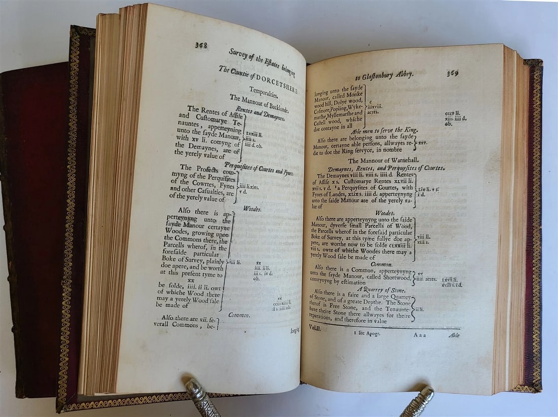 1725 PETER LANGTOFT'S CHRONICLE antique 2 VOLUMES in ENGLISH rare THOMAS HEARNE - 9