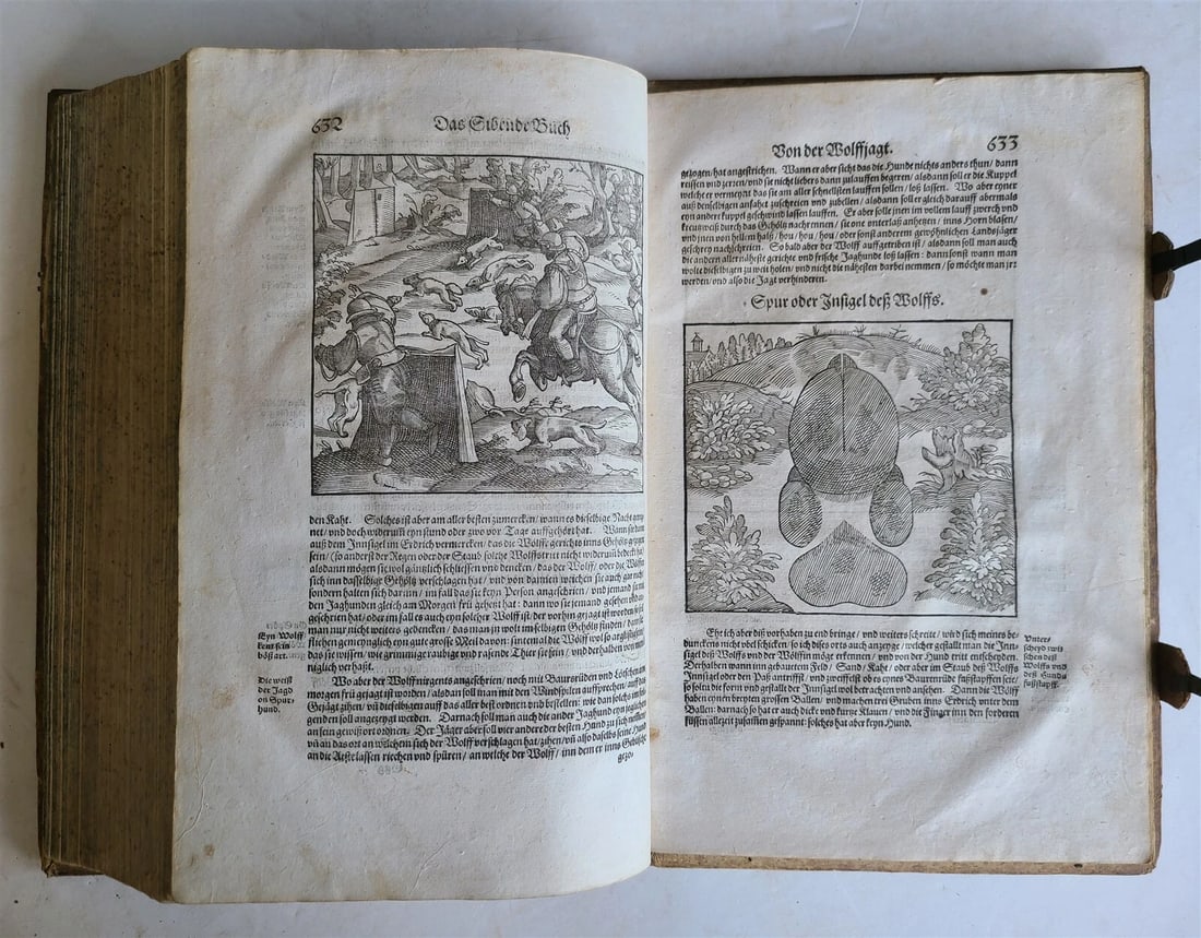 1580 ILLUSTRATED by Tobias Stimmer & J. Amman FOLIO antique HUNTING FALCONRY - 12