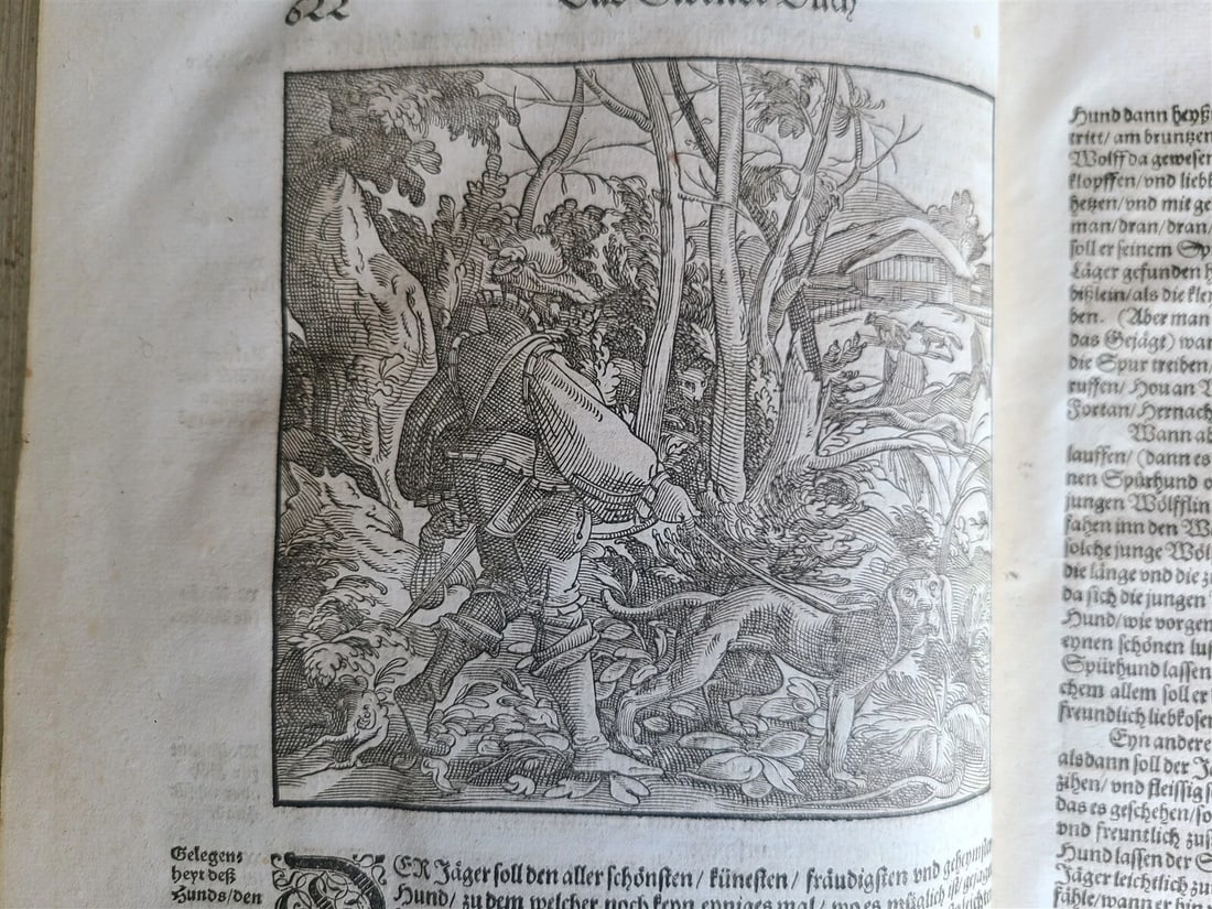 1580 ILLUSTRATED by Tobias Stimmer & J. Amman FOLIO antique HUNTING FALCONRY - 16