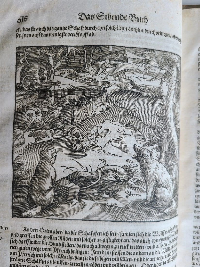 1580 ILLUSTRATED by Tobias Stimmer & J. Amman FOLIO antique HUNTING FALCONRY - 17