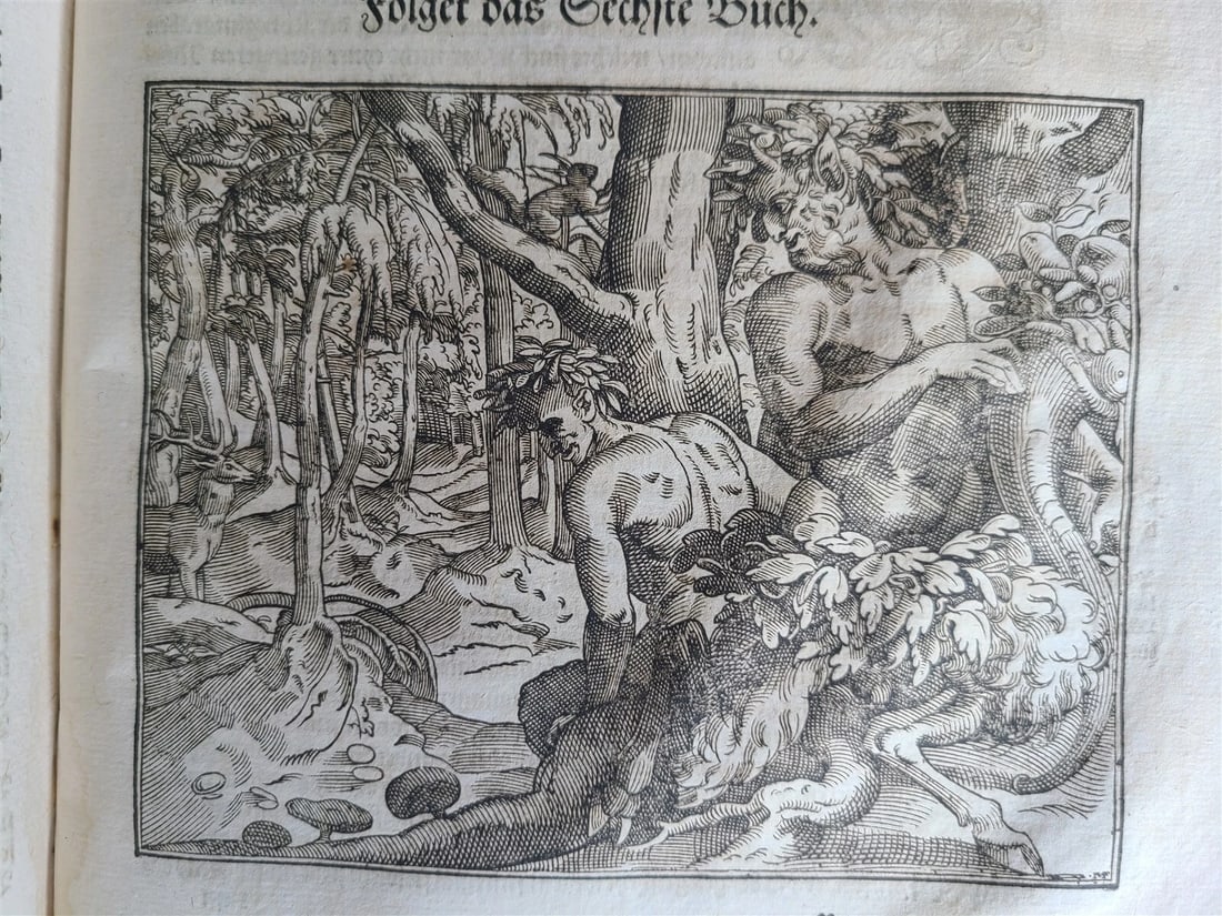 1580 ILLUSTRATED by Tobias Stimmer & J. Amman FOLIO antique HUNTING FALCONRY - 19
