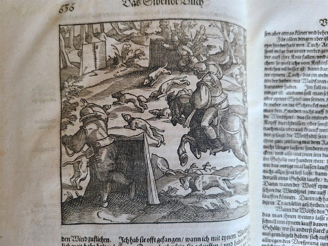 1580 ILLUSTRATED by Tobias Stimmer & J. Amman FOLIO antique HUNTING FALCONRY - 3