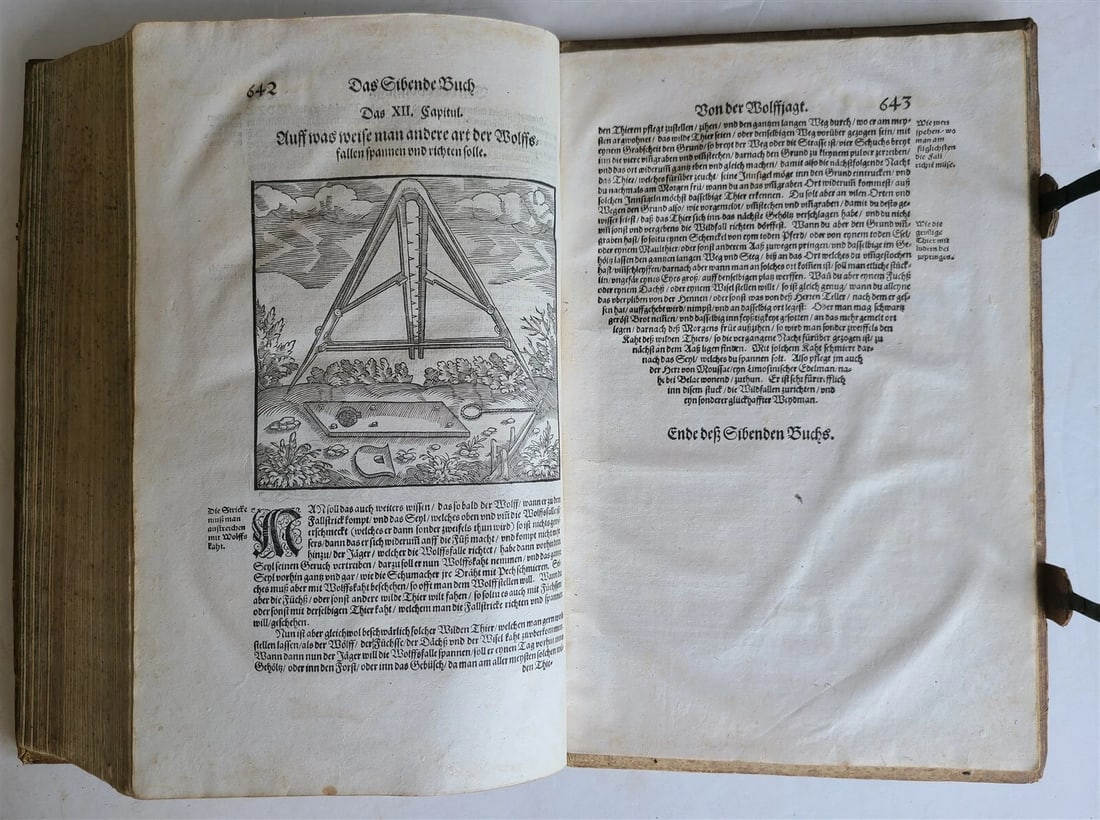 1580 ILLUSTRATED by Tobias Stimmer & J. Amman FOLIO antique HUNTING FALCONRY - 7