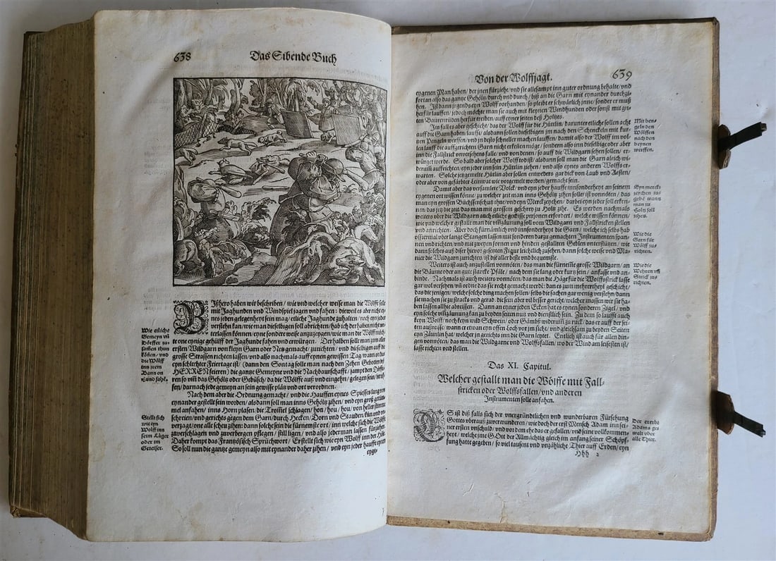 1580 ILLUSTRATED by Tobias Stimmer & J. Amman FOLIO antique HUNTING FALCONRY - 8