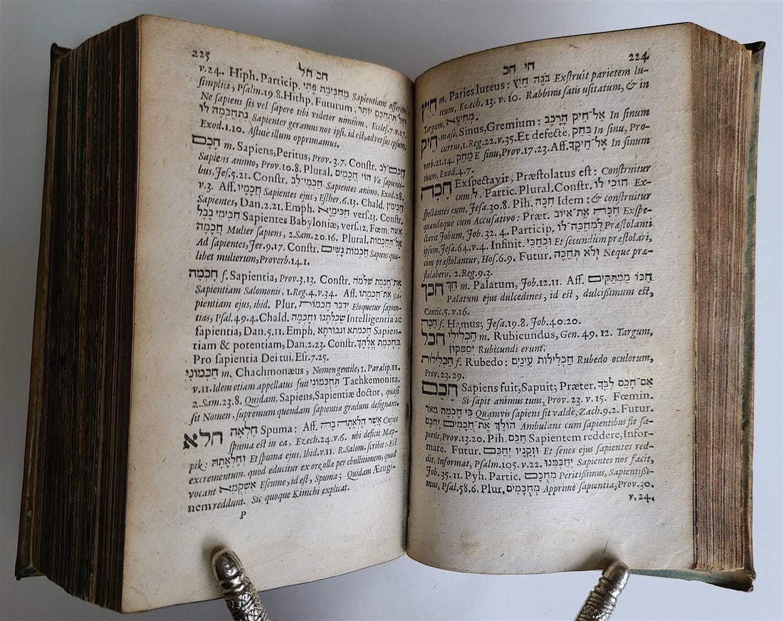 1676 J. BUXTORF Lexicon Hebraicum & Chaldaicum JUDAICA antique VELLUM BINDING - 5