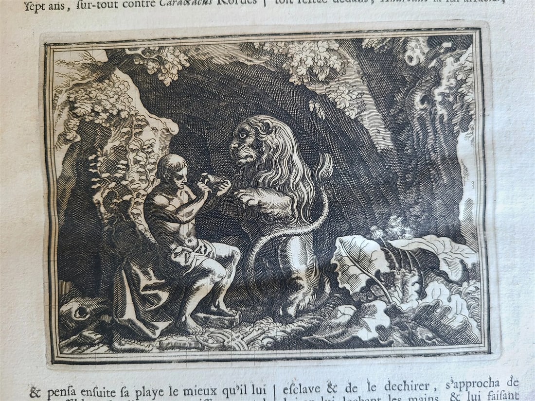 1703 WORLD HISTORY KING FRIEDRICH WILHELM I COAT OF ARMS antique ILLUSTRATED - 3