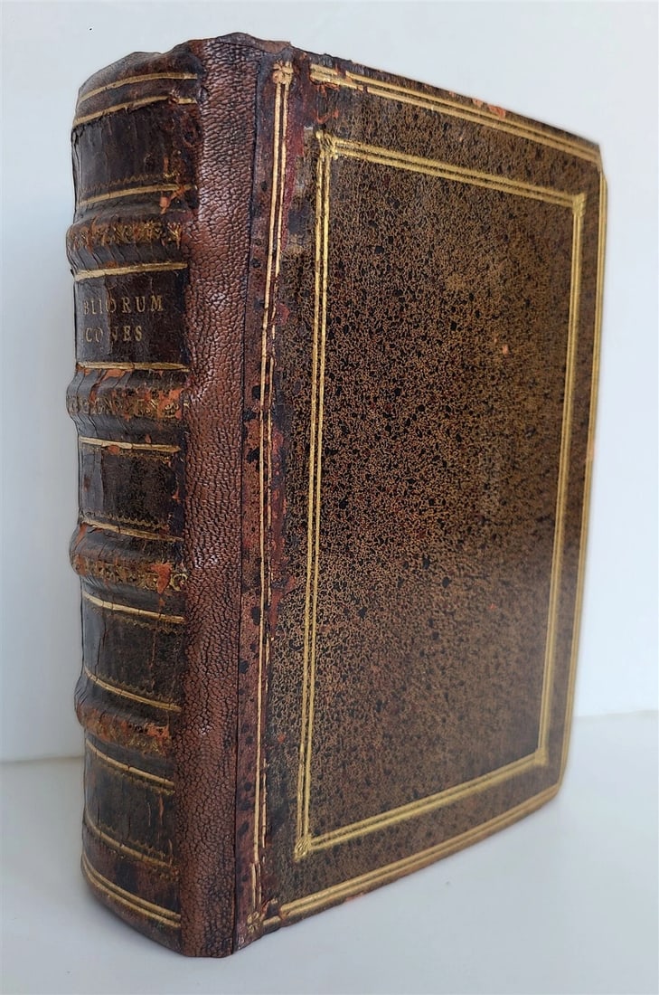1571 PICTURE BIBLE antique ILLUSTRATED w/ 200 WOODCUTS by JOST AMMAN RARE 16th C - 3