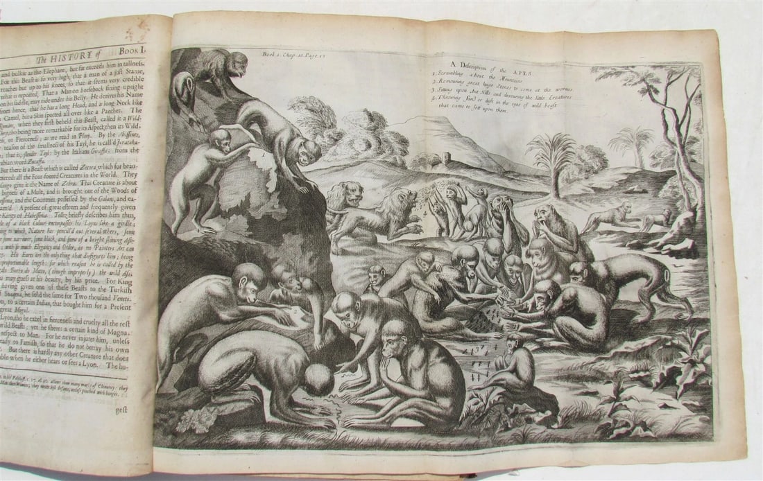 1682 HISTORY of ETHIOPIA KINGDOM OF ABESSINIA ILLUSTRATED antique in ENGLISH - 6