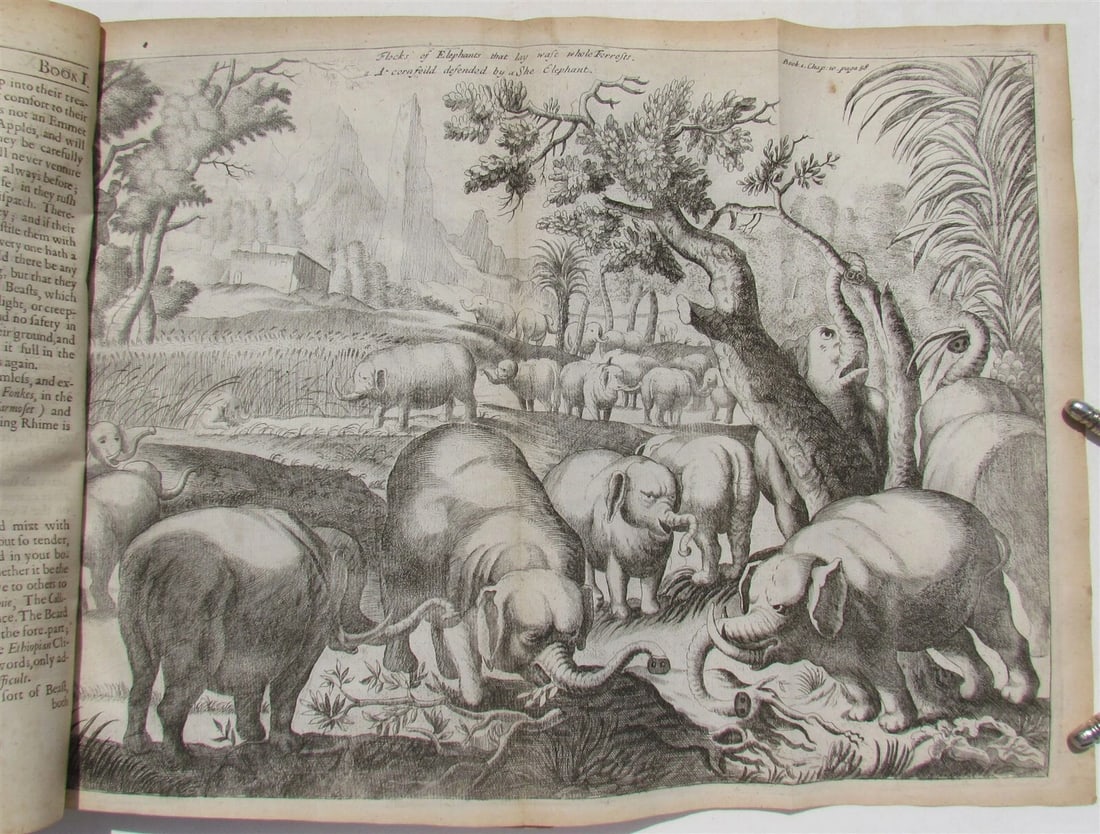 1682 HISTORY of ETHIOPIA KINGDOM OF ABESSINIA ILLUSTRATED antique in ENGLISH - 7