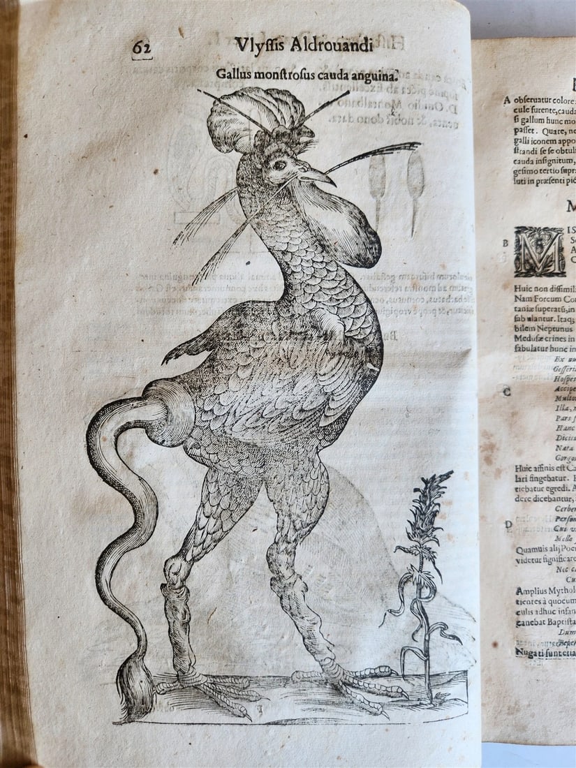 1639 ALDROVANDI TREATISE on DRAGONS & SNAKES antique ILLUSTRATED FOLIO (1 of 20)