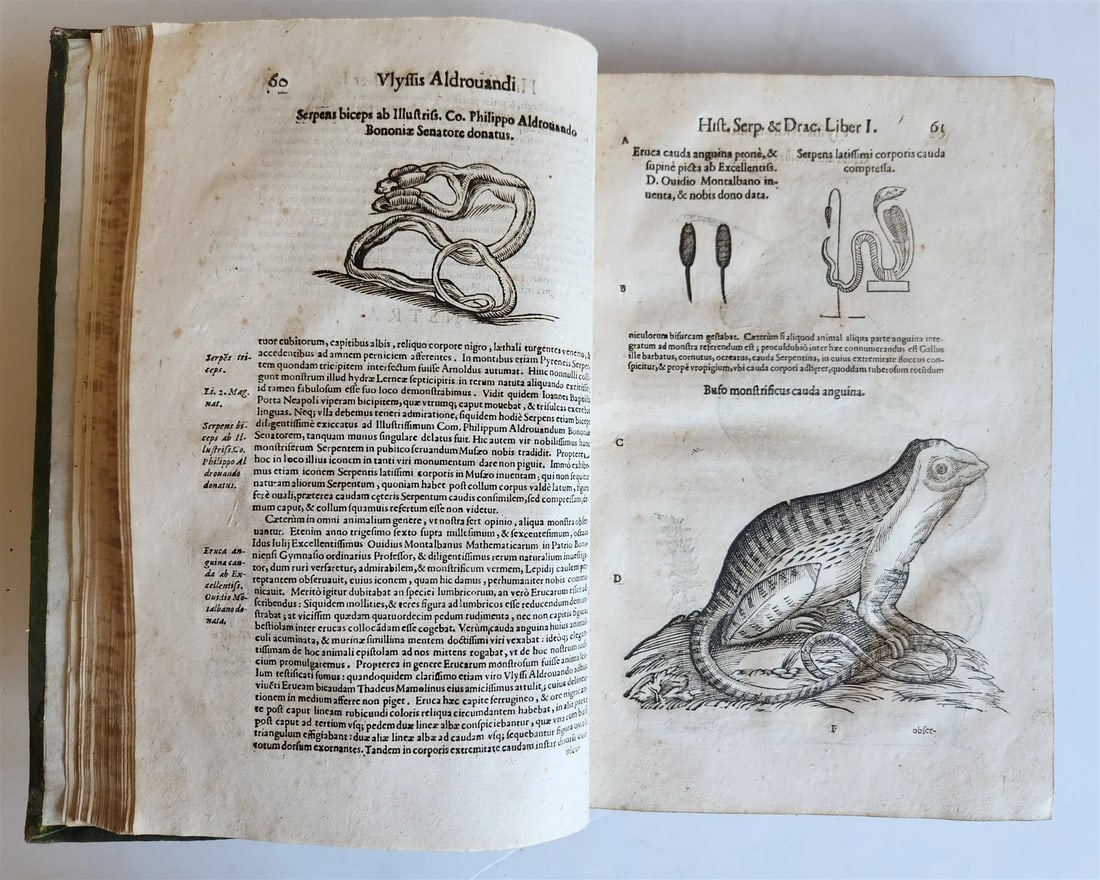 1639 ALDROVANDI TREATISE on DRAGONS & SNAKES antique ILLUSTRATED FOLIO - 4