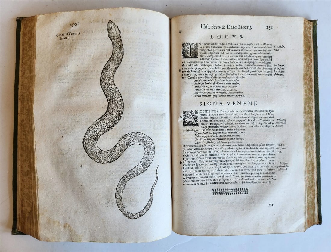 1639 ALDROVANDI TREATISE on DRAGONS & SNAKES antique ILLUSTRATED FOLIO - 9