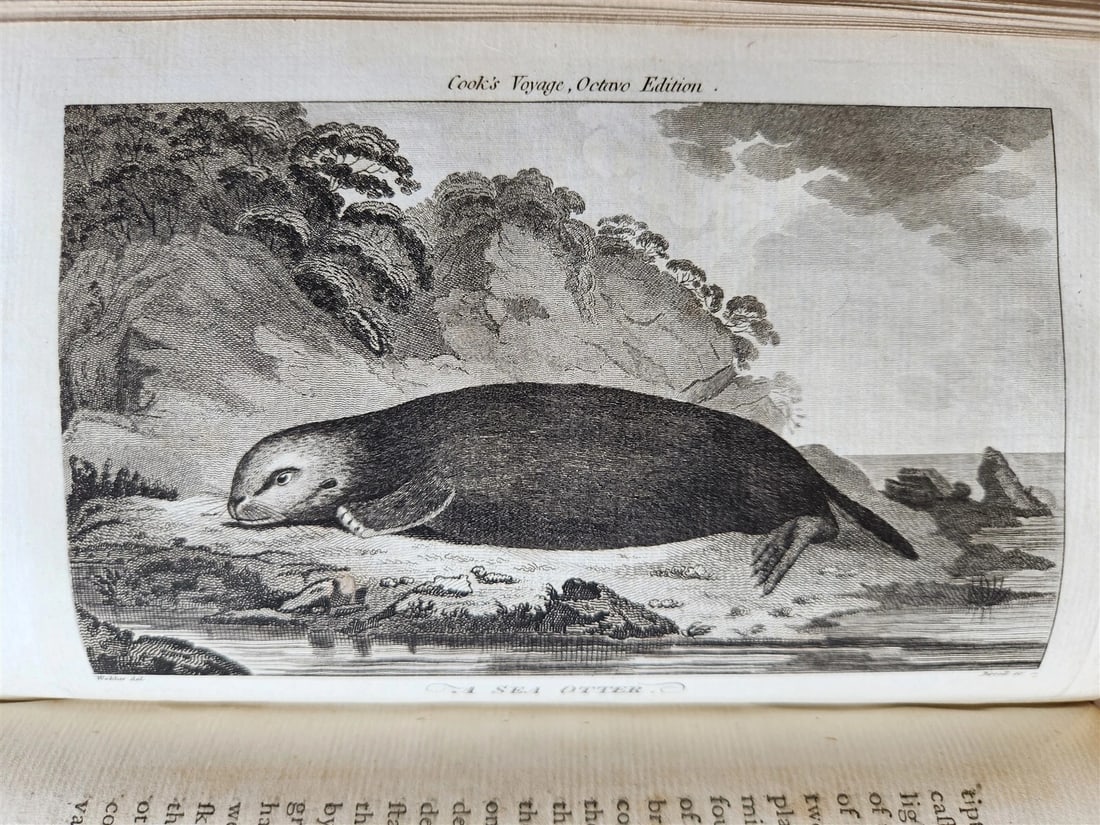 1784 VOYAGE of CAPTAIN COOK 4 vols ILLUSTRATED w/ 49 PLATES antique ENGLISH - 16