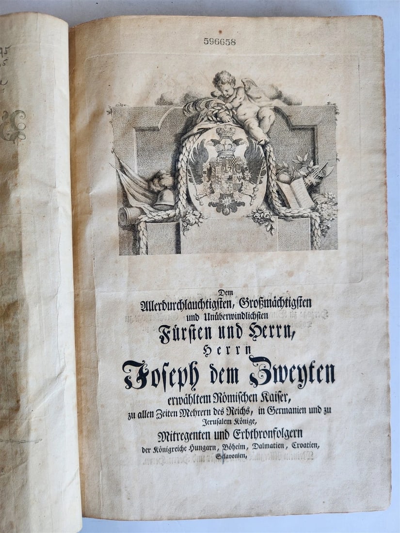 1769 DESCRIPTION OF GRASSES in GERMAN antique ILLUSTRATED FOLIO - 4