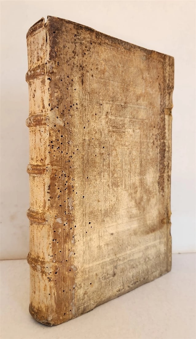 1560 CANON LAW WORK by GALICIAN LAWYER ALVARO PELAYO antique PIGSKIN BOUND FOLIO (1 of 17)