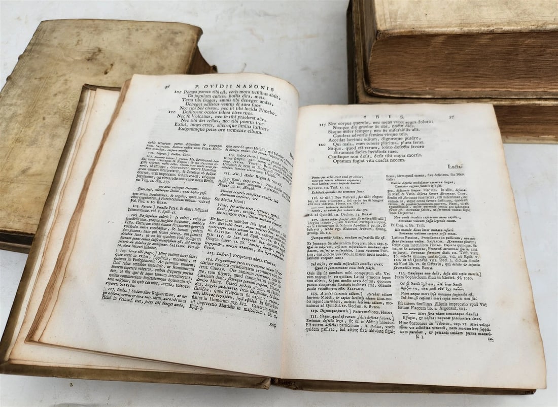 1727 OVID 4 VELLUM BOUND VOLUMES antique Publius Ovidius Naso - 18