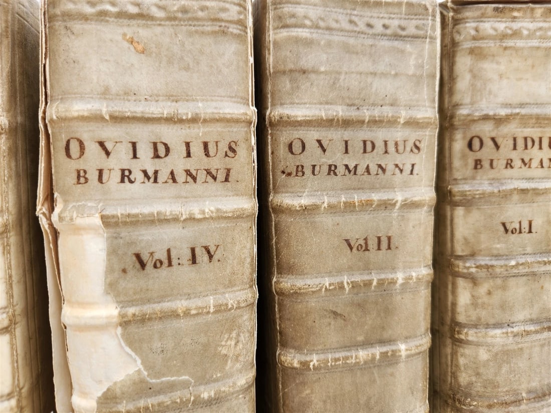 1727 OVID 4 VELLUM BOUND VOLUMES antique Publius Ovidius Naso - 3