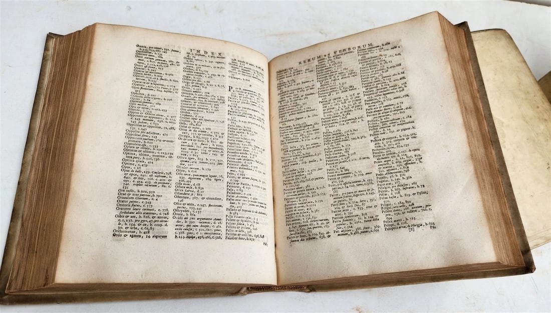 1727 OVID 4 VELLUM BOUND VOLUMES antique Publius Ovidius Naso - 8