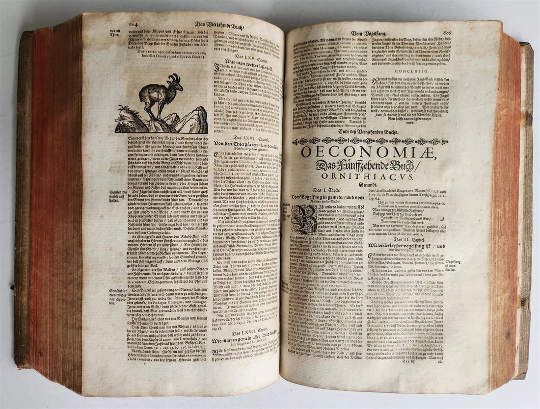 1665 OECONOMIA ILLUSTRATED antique hunting fishing livestock breeding PIGSKIN - 14