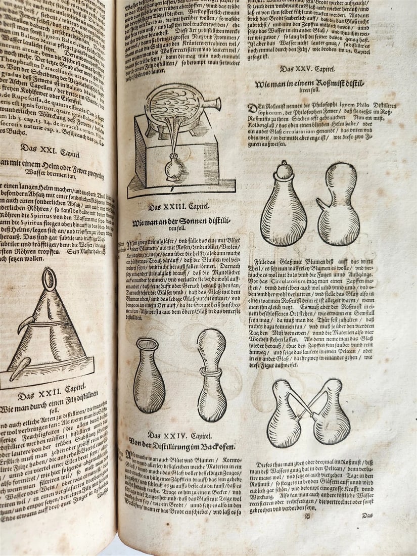 1665 OECONOMIA ILLUSTRATED antique hunting fishing livestock breeding PIGSKIN - 17