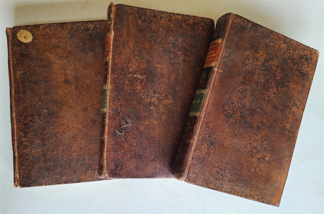 1810 TRAVEL TO GERMANY & SWEDEN 3 VOLS by CATTEAU-CALLEVILLE ANTIQUE in FRENCH - 2