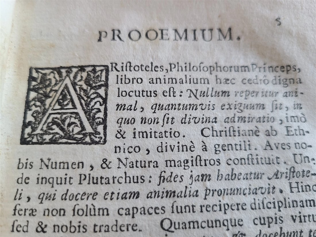 1735 MAGISTERIUM DIVINAE SAPIENTIAE by JOANNE BAPTISTA HOFFER antique - 4