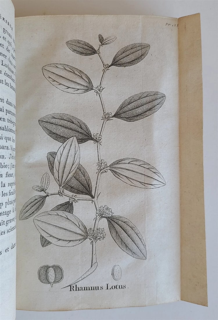 1800 MUNGO PARK VOYAGE to AFRICA 2 VOLS ILLUSTRATED w/ MAPS antique in FRENCH - 8