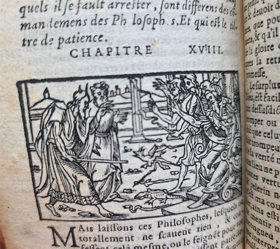 1551 TREATISE AGAINST PAGAN BELIEFS LACTANTIUS antique ILLUSTRATED 179 WOODCUTS - 11
