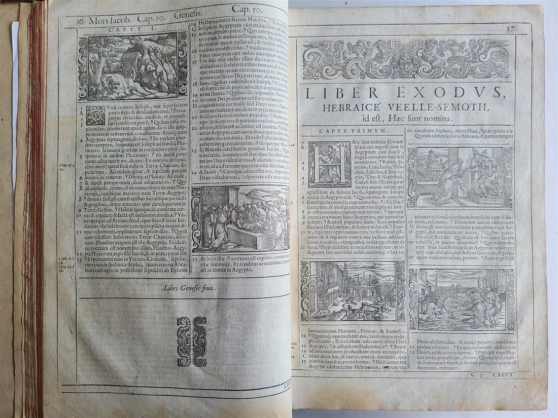 1576 BIBLE in LATIN FULLY ILLUSTRATED antique FOLIO RARE 16th CENTURY BIBLIA - 11