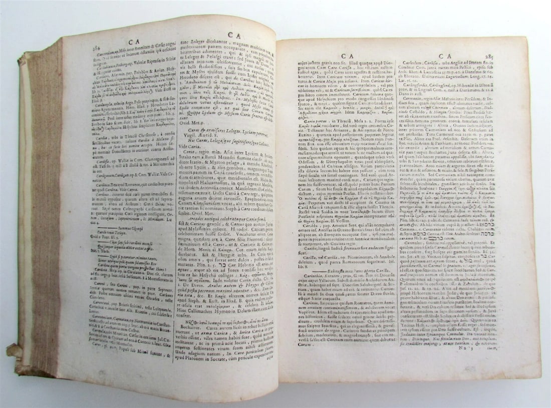 1693 Dictionarium historicum geographicum poeticum HAGUE ARMORIAL VELLUM antique - 4