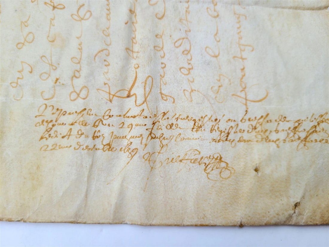 17th century MANUSCRIPT on VELLUM antique LAW DOCUMENT in FRENCH 2 leaves - 4