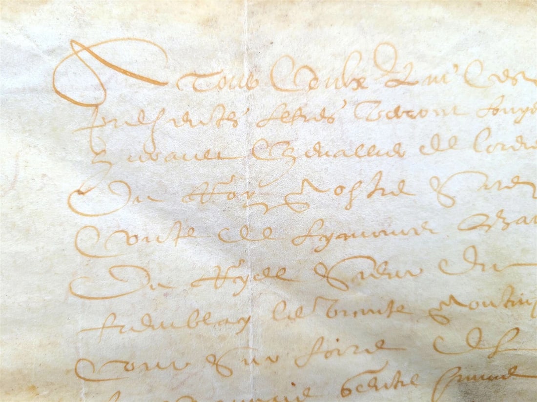 17th century MANUSCRIPT on VELLUM antique LAW DOCUMENT in FRENCH 2 leaves - 5