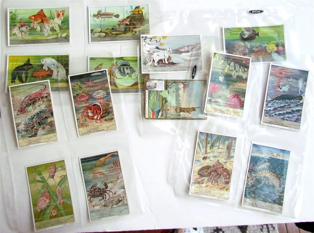 LIEBIG COMPANY 131 TRADE CARDS COLLECTION antique - 5
