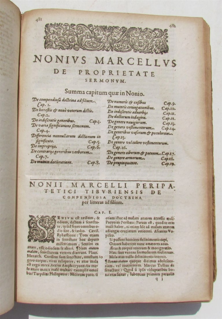 1595 LATIN LANGUAGE AUTHORS by GOTHOFREDUS antique 16th CENTURY - 6