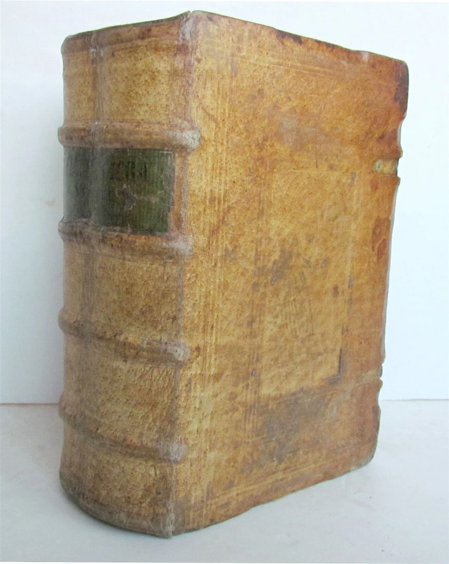1585 BIBLE ILLUSTRATED Jost Amman & Virgil Solis BIBLIA SACRA antique PIGSKIN - 2