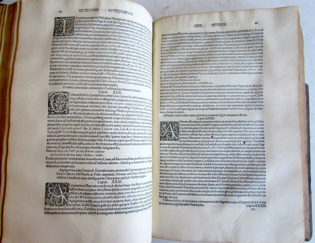1517 ANTIQUARUM LECTIONUM COMMENTARIOS L. RICCHIERI POST-INCUNABULA antique RARE - 11