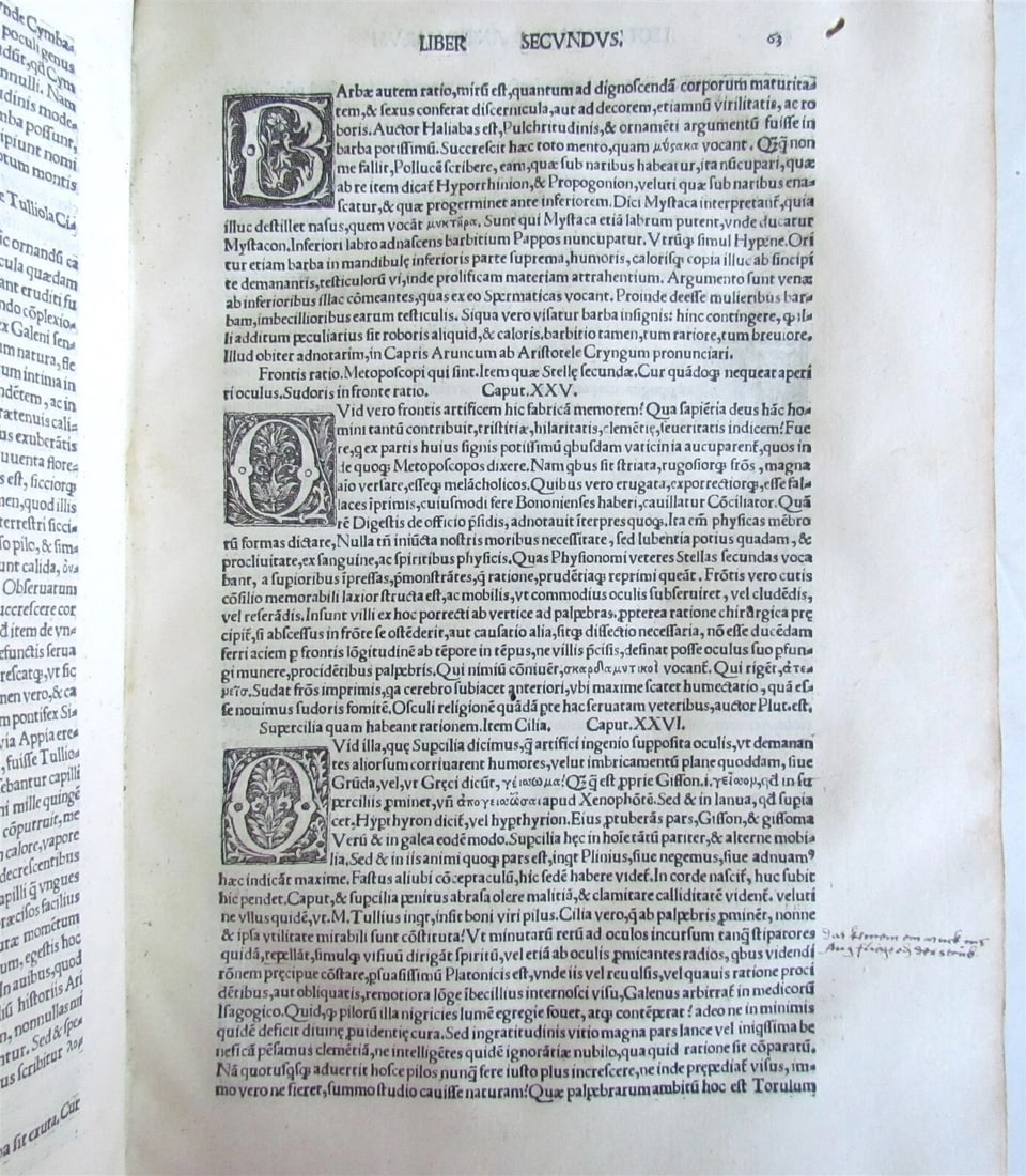 1517 ANTIQUARUM LECTIONUM COMMENTARIOS L. RICCHIERI POST-INCUNABULA antique RARE - 8