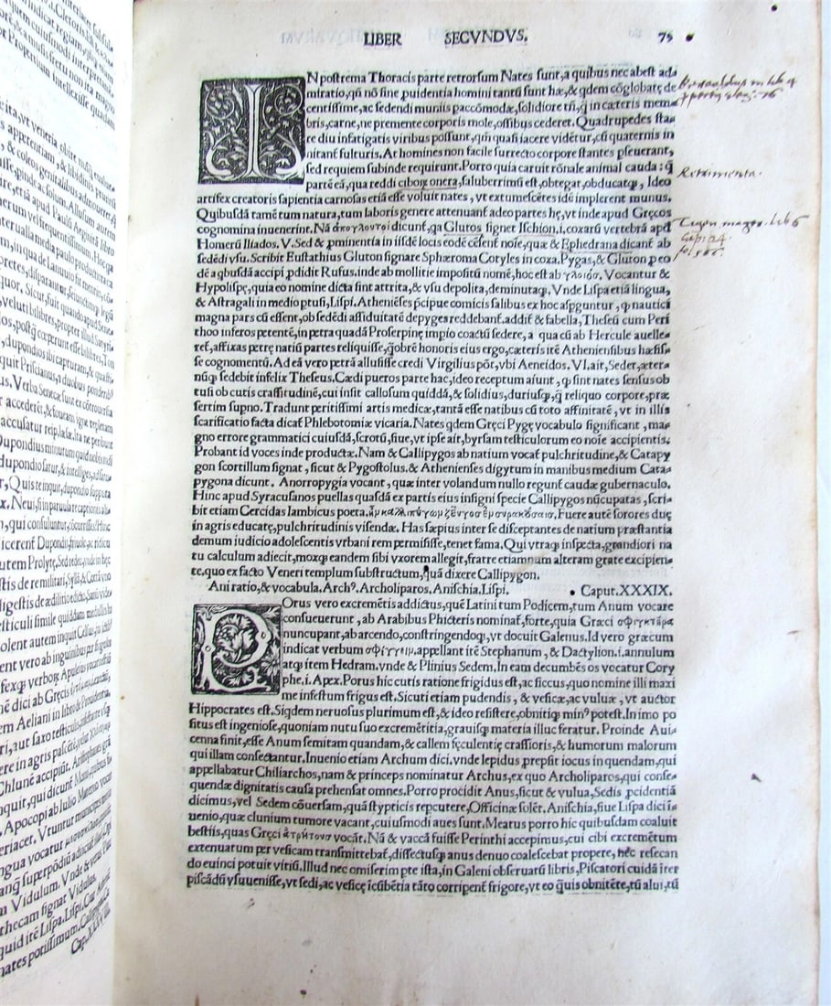 1517 ANTIQUARUM LECTIONUM COMMENTARIOS L. RICCHIERI POST-INCUNABULA antique RARE - 9