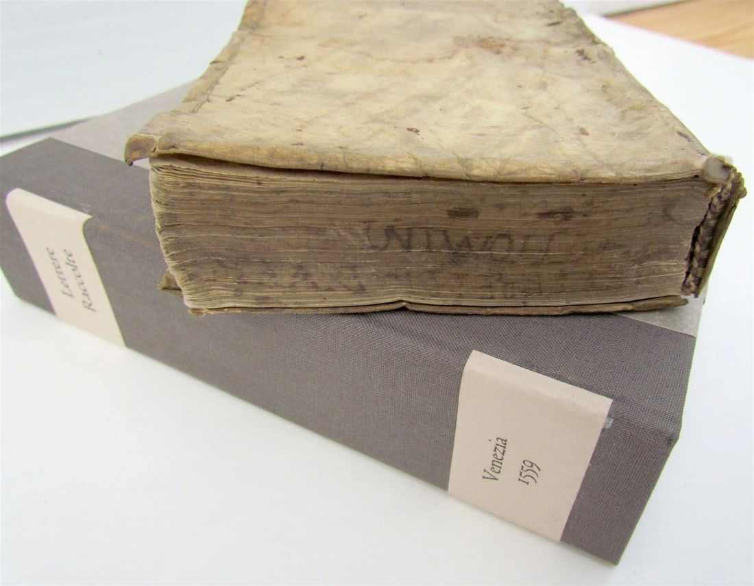 1559 MODELS FOR RENAISSANCE LETTER WRITERS antique VELLUM BOUND rare - 2