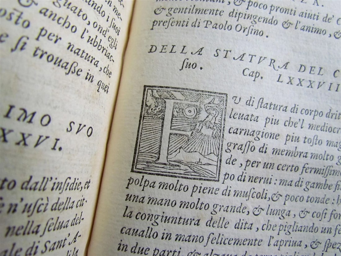 1556 LA VITA DI SFORZA Paolo Giovio antique VELLUM in Italian RARE 16th century - 6
