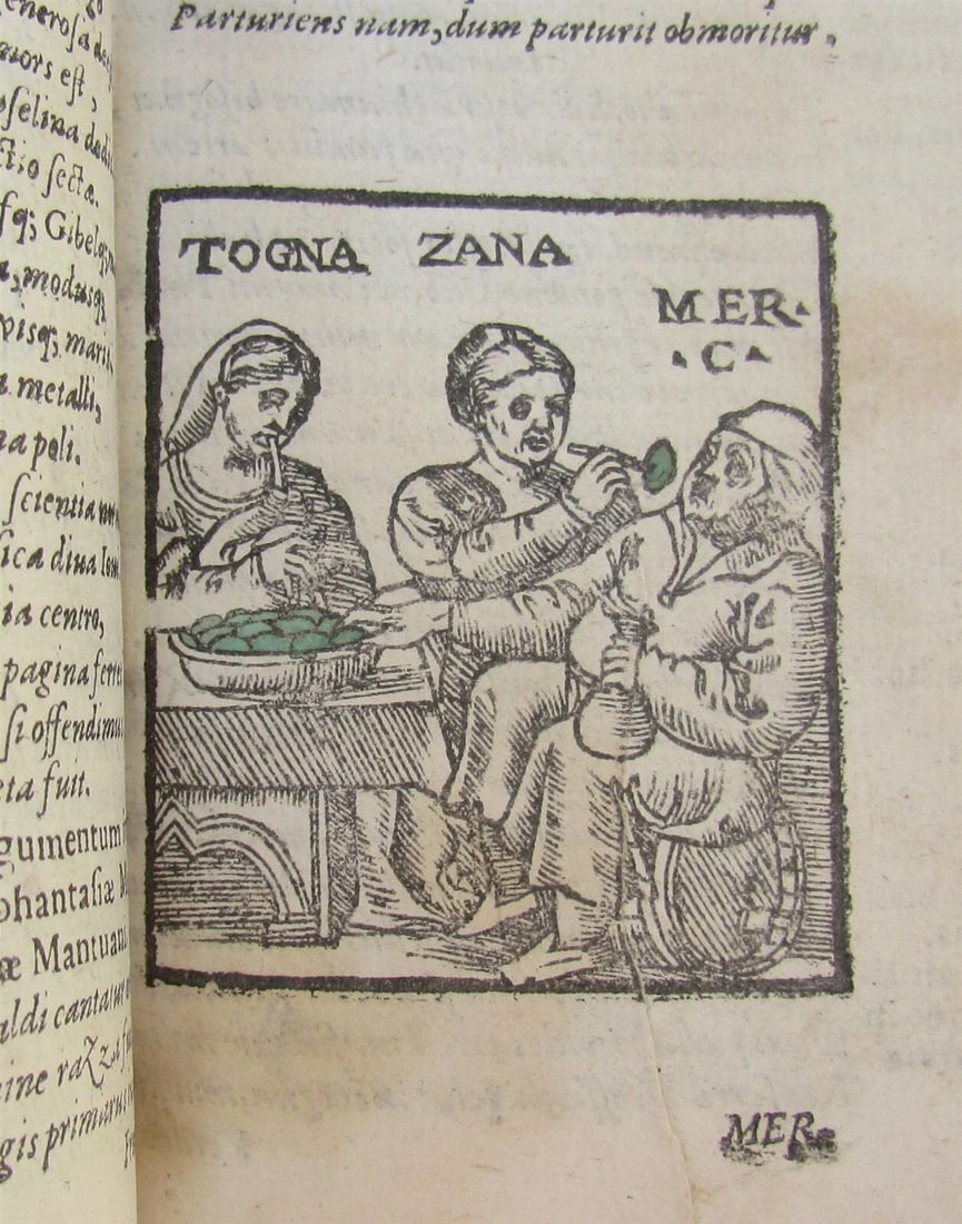 1585 ILLUSTRATED MACARONIC POETRY MERLINI COCAII antique 16th CENTURY - 5