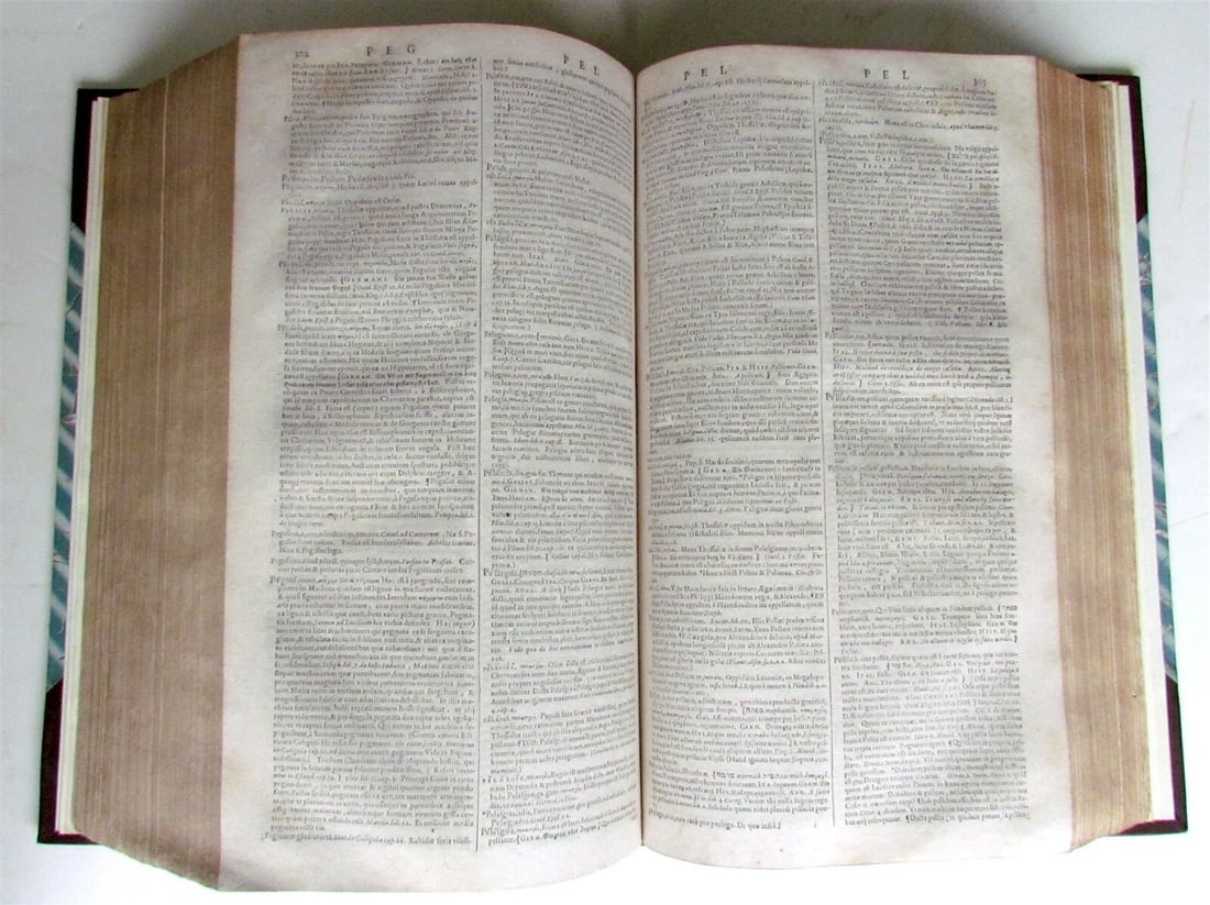 1620 Dictionarium Octolingue Ambrose Calepini antique MASSIVE FOLIO 7 LANGUAGES - 10