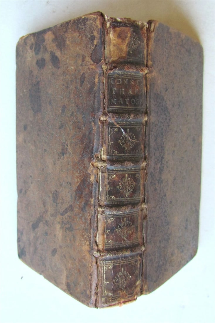 1665 WONDERS of NATURE Thaumatographia Naturalis antique meteors fossils plants - 2