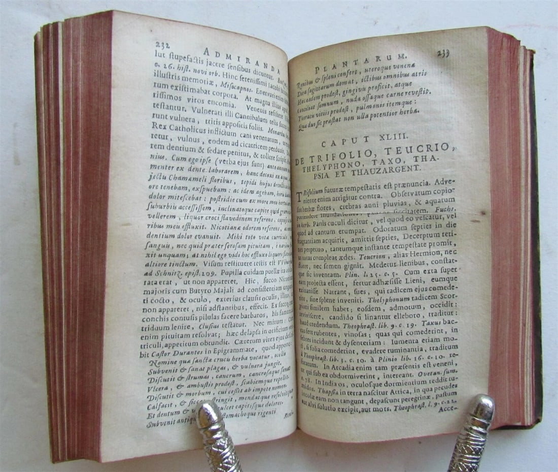 1665 WONDERS of NATURE Thaumatographia Naturalis antique meteors fossils plants - 6