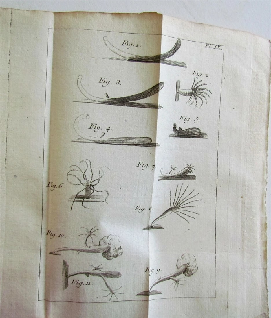 1744 NATURAL HISTORY of the POLYPES ILLUSTRATED w/ 22 engraved plates ANTIQUE - 6