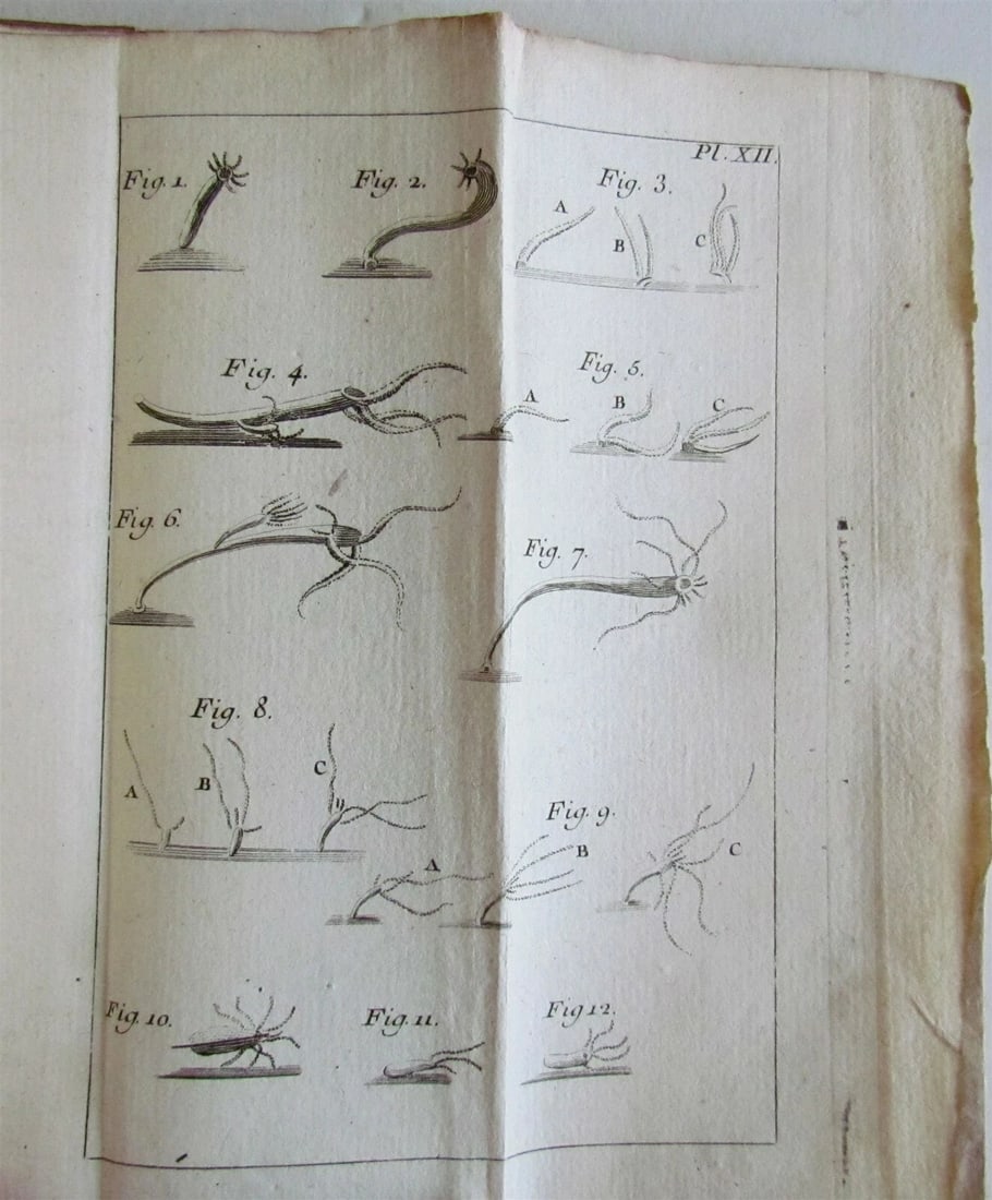 1744 NATURAL HISTORY of the POLYPES ILLUSTRATED w/ 22 engraved plates ANTIQUE - 8