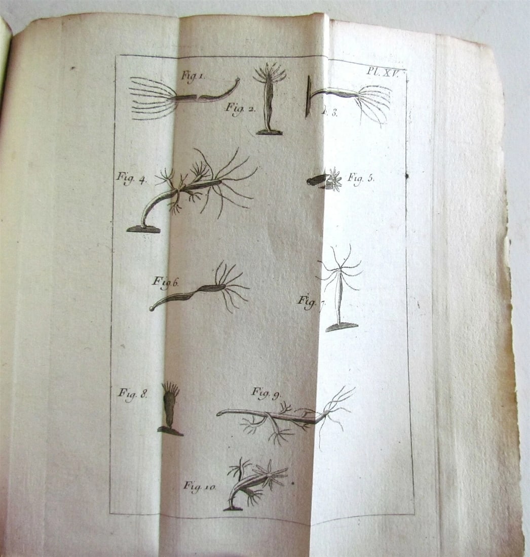 1744 NATURAL HISTORY of the POLYPES ILLUSTRATED w/ 22 engraved plates ANTIQUE - 9