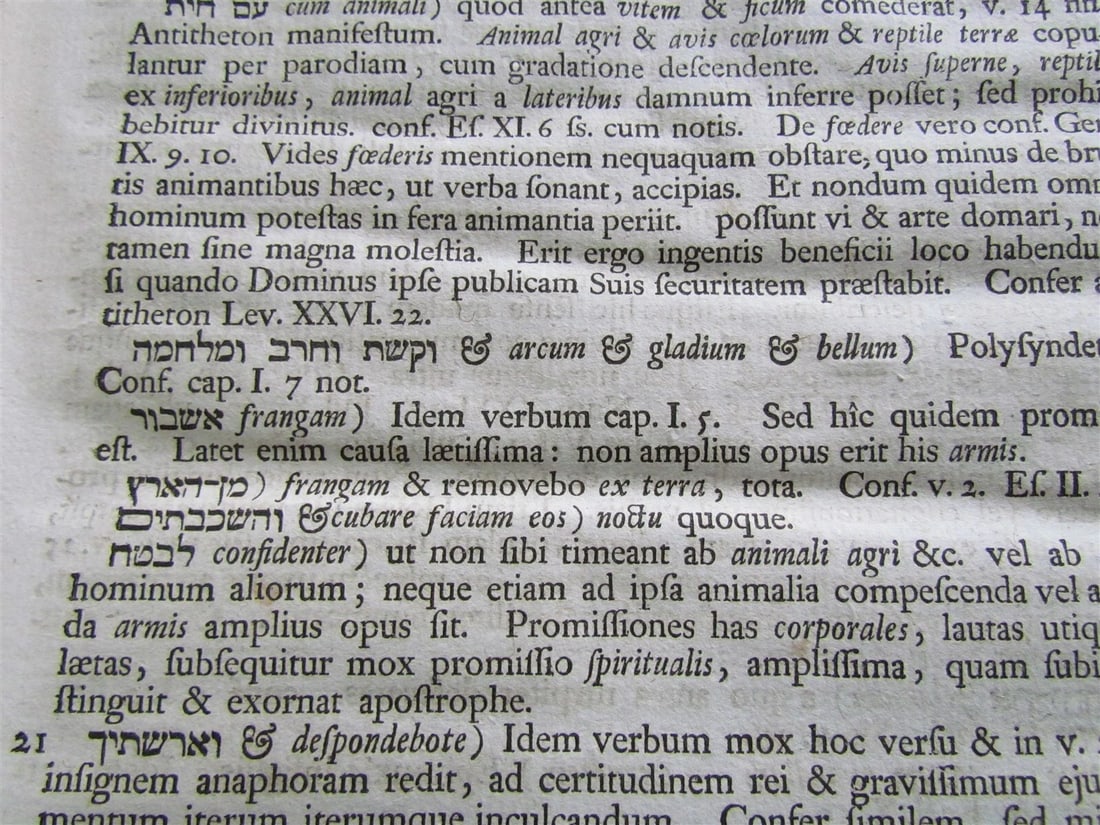 1753 Gnomon in duodecim Prophetas Minores VELLUM antique LATIN & HEBREW - 6